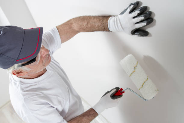 Mold Removal for HVAC Installations in Pagosa Springs, CO