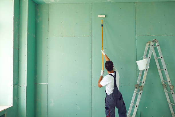 Mold Remediation for Vacation Homes in Pagosa Springs, CO