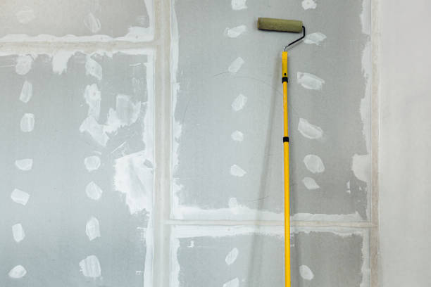 Best HVAC Mold Inspection and Cleaning  in Pagosa Springs, CO